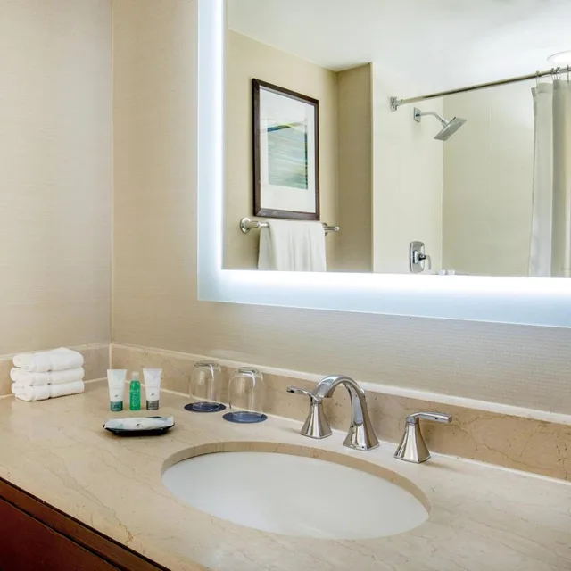 غرفة تقليدية بسريرين مزدوجين بحوض استحمام لذوي الإعاقة، The Westin Waltham Boston 5/5