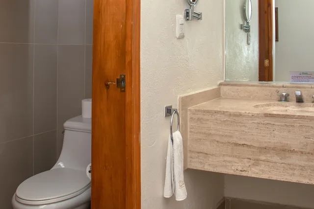 غرفة غراند بسرير كينج يُسمح فيها بالحيوانات الأليفة، Hotel Mision Grand Juriquilla Queretaro 4/4