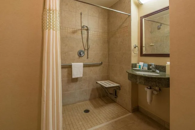 غرفة بسرير كينج مع أريكة لذوي الإعاقة، Hampton Inn & Suites Colorado Springs-Air Force Academy-I-25 North 2/2