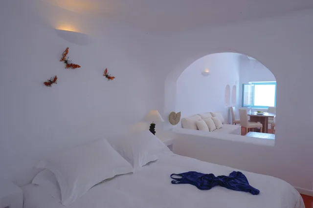 Superior, Suite, Plunge Pool، White 3/9