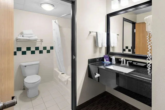 جناح بسرير كينج لذوي الإعاقة، Quality Inn Ladysmith, WI 2/2