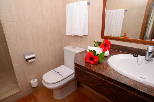 Apartment, Queen Bed, Sofa, Balcony, Cala Llenya Resort Ibiza Formerly Ola Club Cala Llenya 4/4