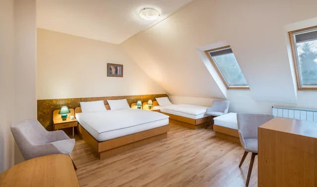 غرفة قياسية بسرير فردي، Platan Hotel 2/7