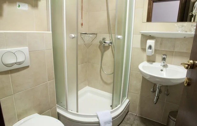 غرفة قياسية بسرير مزدوج أو سريرين منفصلين، Hotel Continental 9/10