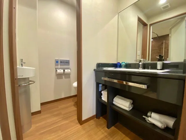 City, Single, Smoking, Hotel Meldia Shijo Kawaramachi 6/6