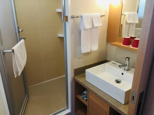غرفة سوبيريور بسرير مزدوج، Red Roof Inn And Suites Osaka Namba Nippombashi 3/3
