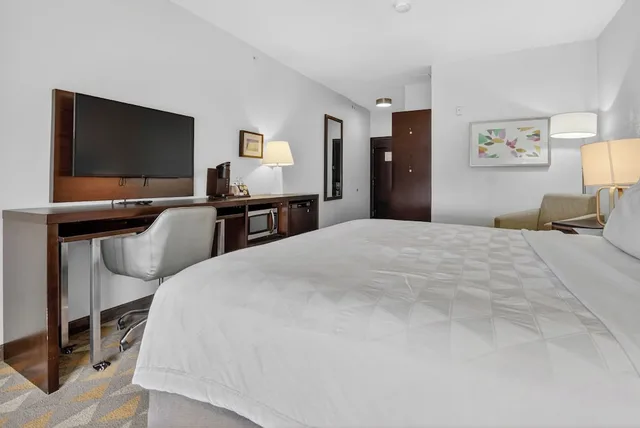 غرفة قياسية بسرير كينج، Holiday Inn Express Hotel And Suites Dallas Addison 5/10
