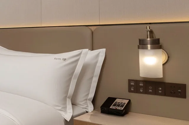Holiday Inn Jiaxing Nanhu by IHG، Jiaxing 21/50