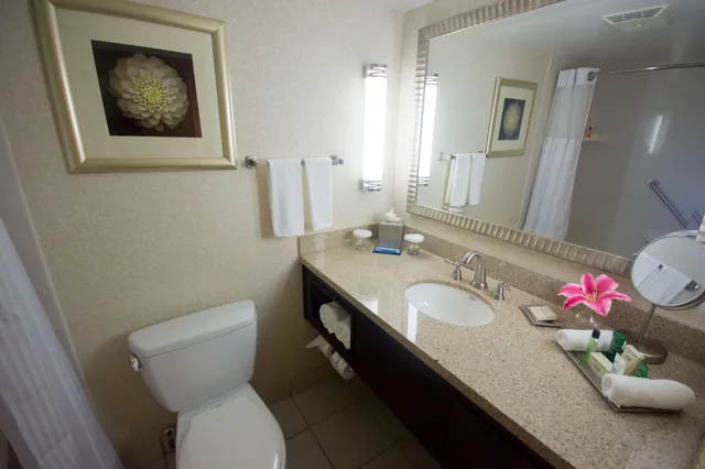 جناح تنفيذي بسرير كينج بغرفة نوم واحدة، Hilton Palm Beach Airport 3/4