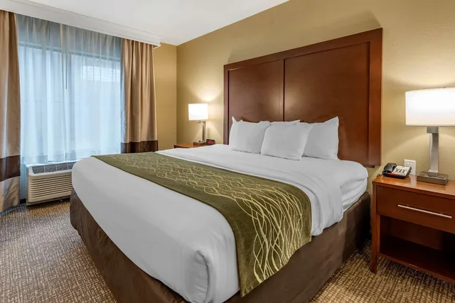 جناح بسرير كينج مع أريكة، Comfort Inn & Suites Pittsburgh South 1/3