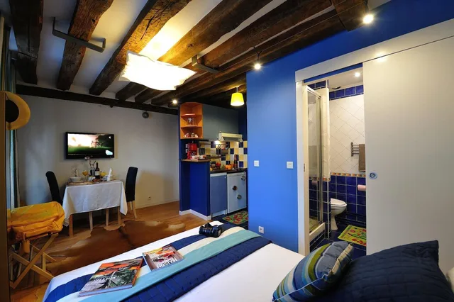 Lagoon, Blue, Studio, Les Patios Du Marais 3/5
