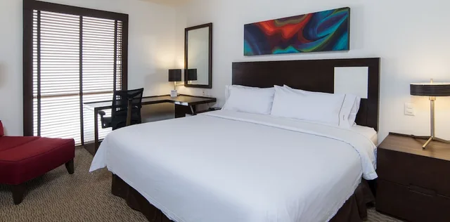 غرفة قياسية بسرير كينج، Holiday Inn Guadalajara Patria-Universidad 4/9