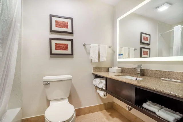 غرفة قياسية بسرير كينج، Comfort Inn & Suites Cornelius Lake Norman NC 6/7