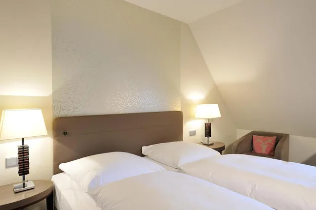 Plus, Economy, Double Bed، Ritter Durbach Hotel 6/9