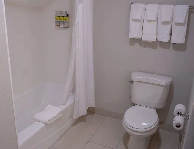 Room, King Bed, Holiday Inn Express Hotel Suites Conover Hickory Area 1/1