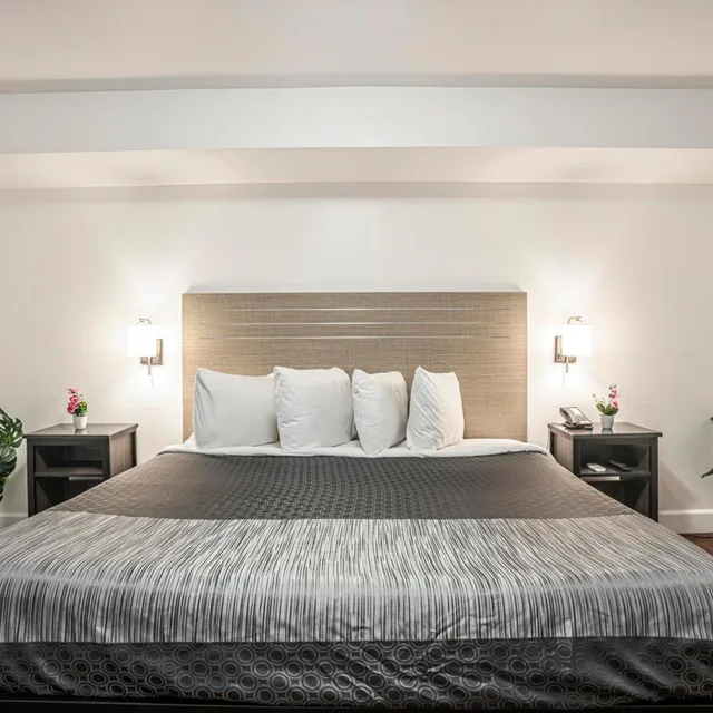 غرفة سوبيريور بسرير كينج، The Greens Hotel 3/6