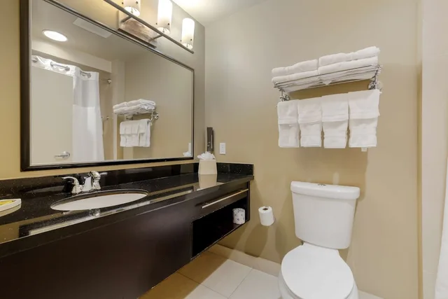 Standard, King Bed, Large, Best Western Plus Miami Airport North Hotel & Suites 7/8