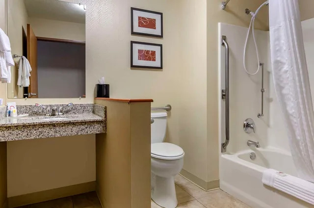غرفة بسرير كينج لذوي الإعاقة، Comfort Inn Bozeman near University 2/2