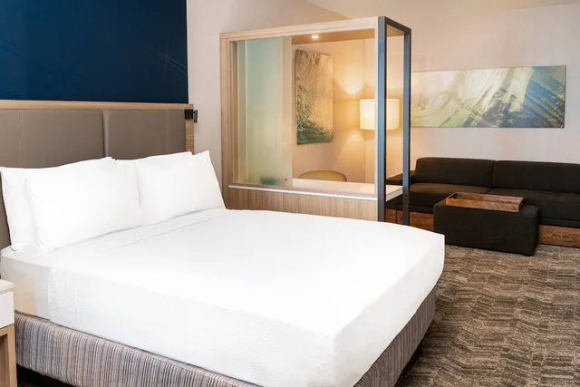 جناح بسرير كينج مع أريكة لذوي الإعاقة، SpringHill Suites by Marriott Irvine Lake Forest 1/2