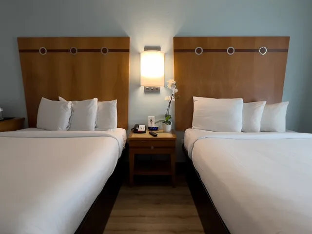 غرفة سوبيريور بسريرين مزدوجين، Majestic Hotel South Beach 2/3