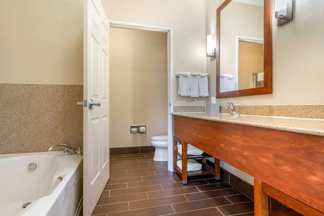 جناح مع أريكة، Comfort Inn & Suites Galt Lodi North 6/6