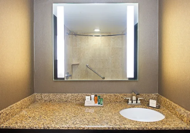 1 Bedroom, Pure, King Bed, Allergy Friendly، Hilton St Petersburg Bayfront 5/5