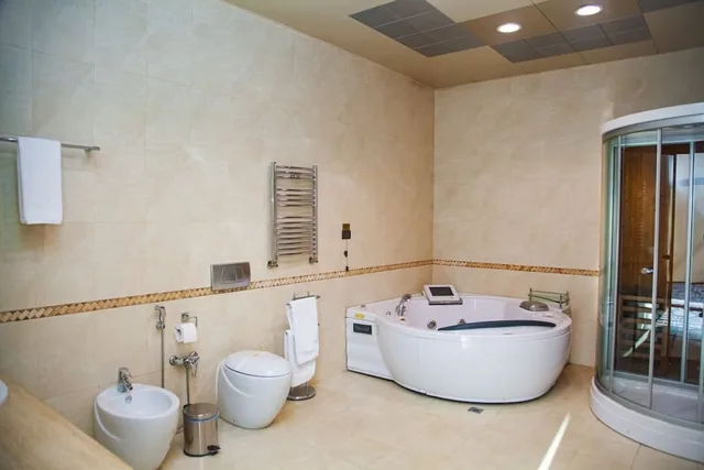 جناح رئاسي بسريرين مزدوجين، AYF Palace 4/4