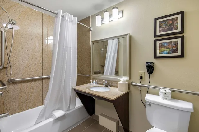 جناح بسرير كينج لذوي الإعاقة، Comfort Inn and Suites Cedar Hill Duncanville 3/3