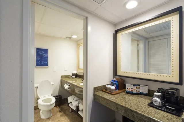 Deluxe, King Bed, Lake View, South Shore Harbour Resort & Conference Center 7/8