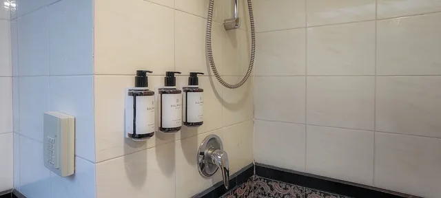غرفة قياسية بسريرين مزدوجين بإطلالة على الحديقة، Metropark Lido Hotel 5/5
