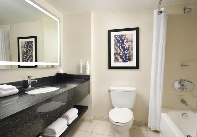 Premium, Suite, Multiple Beds, Lake View, Embassy Suites by Hilton Chicago Downtown Magnificent Mile 2/3