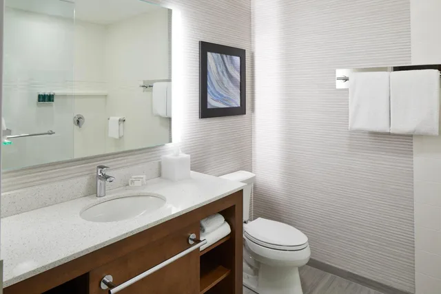 1 Bedroom, Suite, King Bed, Bay View, Sofa, Balcony، Residence Inn St. Petersburg Tierra Verde 3/8