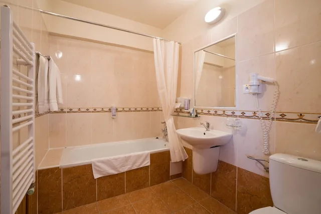 جناح بسرير مزدوج وسرير فردي بشرفة، Dixon Congress Hotel 3/3
