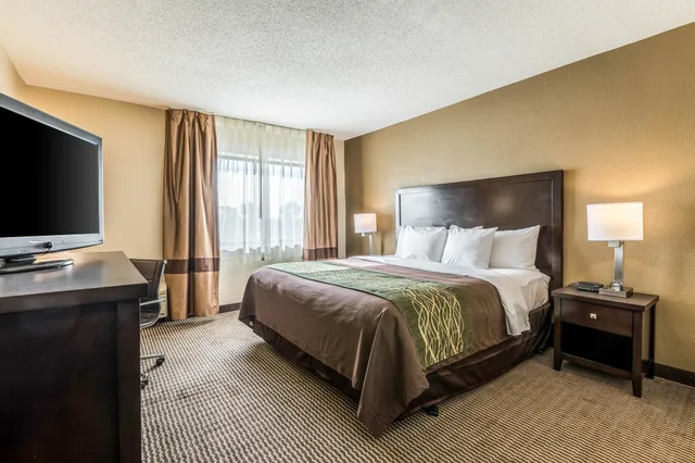 غرفة قياسية بسرير كينج بحوض جاكوزي، Comfort Inn Downtown Detroit MI 2/9