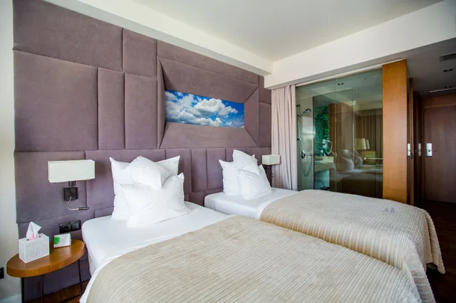 غرفة قياسية بسرير مزدوج أو سريرين منفصلين، Grand Hotel Boutique 1/5