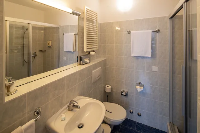 غرفة سوبيريور مفردة، Hotel Campione 13/15