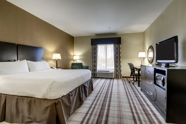 Standard, King Bed, Extra Floor Space، Holiday Inn Express Hotel Suites Natchez South 1/4