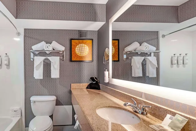 غرفة قياسية بسرير كينج لذوي الإعاقة، Best Western Premier Richmond City Gateway 3/3