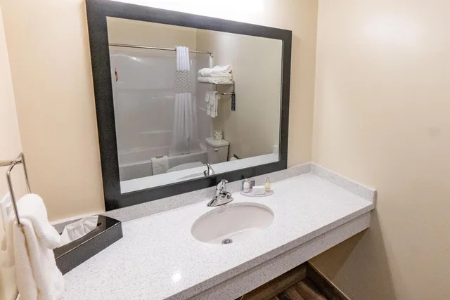 Standard, Queen Bed, Cobblestone Hotel & Suites-Sheldon 3/6