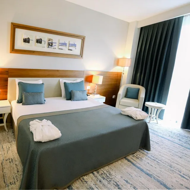 غرفة قياسية بسرير كينج، Baia Hotel Bursa 5/10