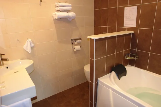 غرفة قياسية بسريرين منفصلين، Brit Hotel Bourges L Olympia 10/10