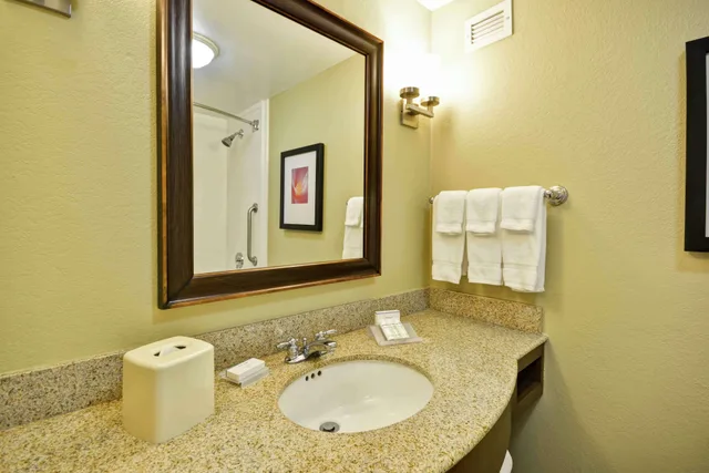 جناح بسرير كينج بغرفة نوم واحدة، Hilton Garden Inn Ft Myers 3/6