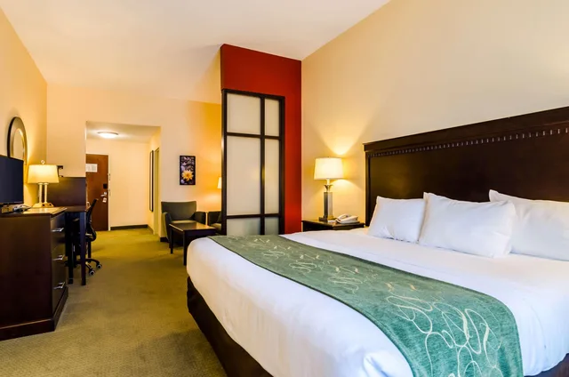 جناح بسرير كينج لذوي الإعاقة، Comfort Suites Gothenburg South 4/7
