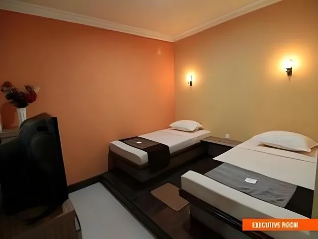 غرفة تنفيذية، PATRIA PALACE HOTEL 5/5