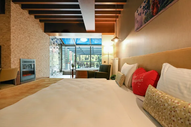جناح بسرير مزدوج، Abant Aden Boutique Hotel & Spa 1/5