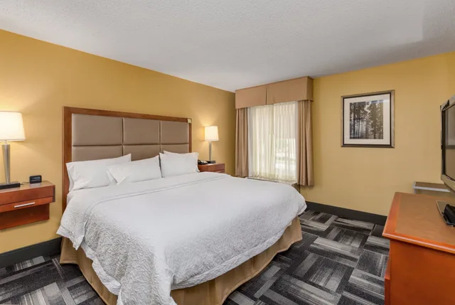 جناح بسرير كينج مع أريكة، Hampton Inn Owensboro South 5/8