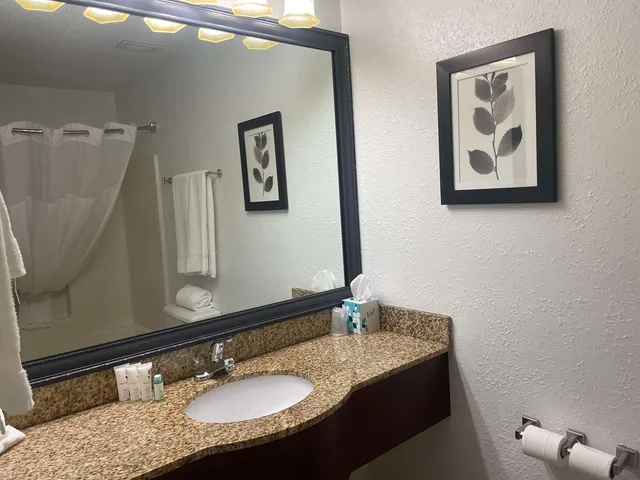 Room, King Bed, Best Western Harmony Inn Fort Dodge Iowa 6/6