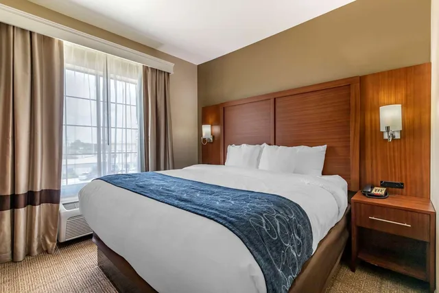 جناح بسرير كينج، Comfort Suites Buda - Austin South 1/2