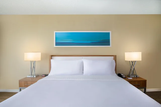 Studio, Suite, King Bed, Resort View, Sofa، Holiday Inn Resort Aruba-Beach 1/1