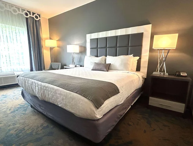 Suite, King Bed, Best Western Erie Inn & Suites 2/5